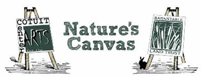 Nature's Canvas logo
