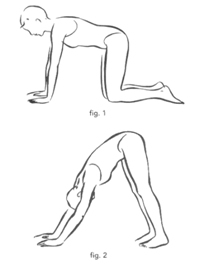 Downward Dog illustration from the Posture Cards