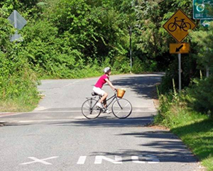 Bike rider