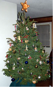 Lynne Delaney's Christmas Tree