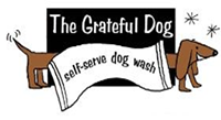 A Grateful Dog ad