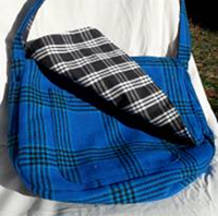 Blue plaid bag