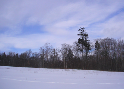 Peaceful Slopes, Killington, Vt Photograph by Peter Burnett 